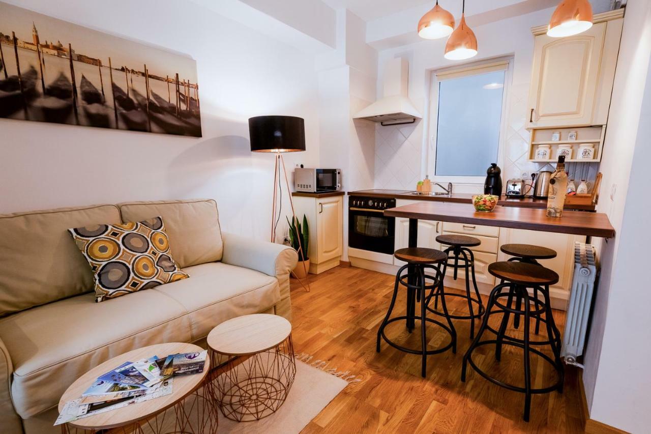 Ultracentral Apartment Клуж-Напока Экстерьер фото